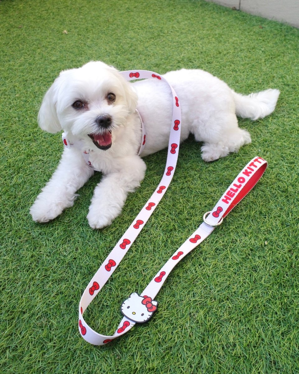 【HELLO KITTY】ハーネス - HEY,BUDDY