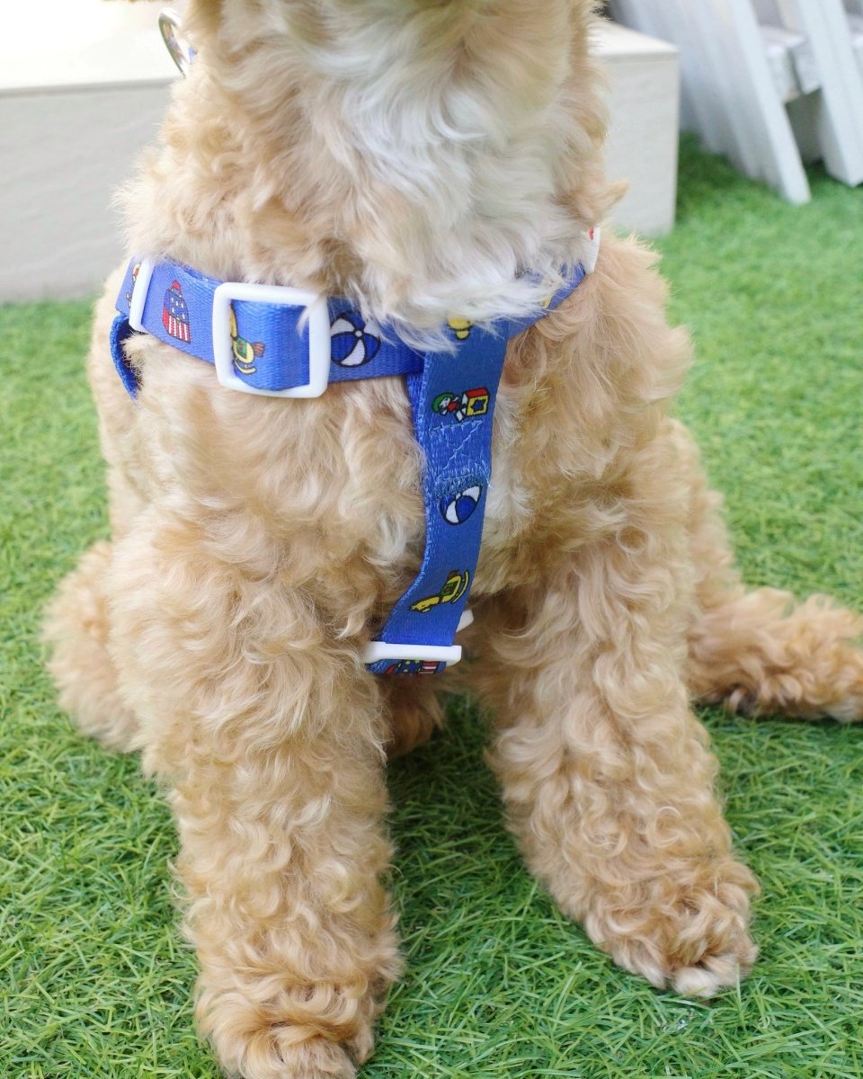 【HELLO KITTY】ハーネス - HEY,BUDDY