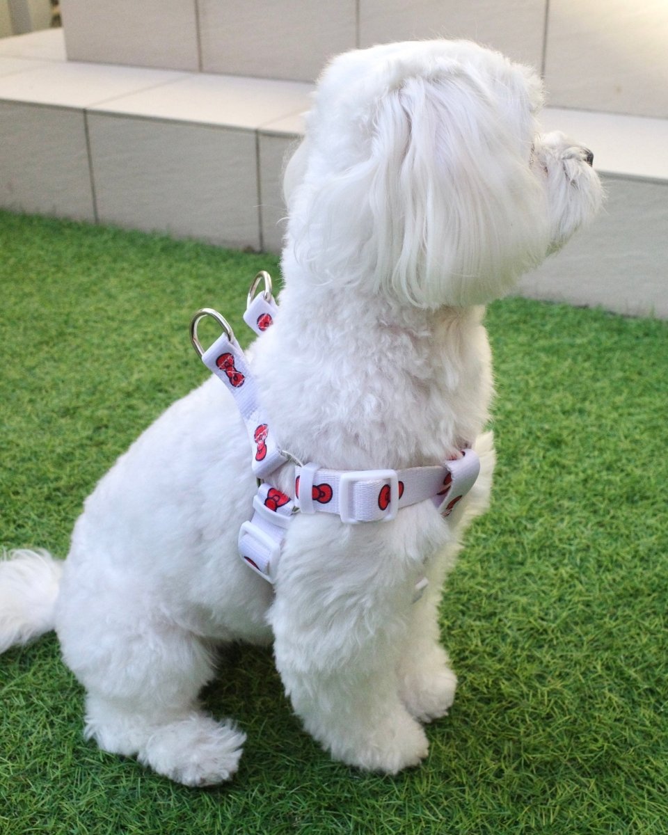 【HELLO KITTY】ハーネス - HEY,BUDDY