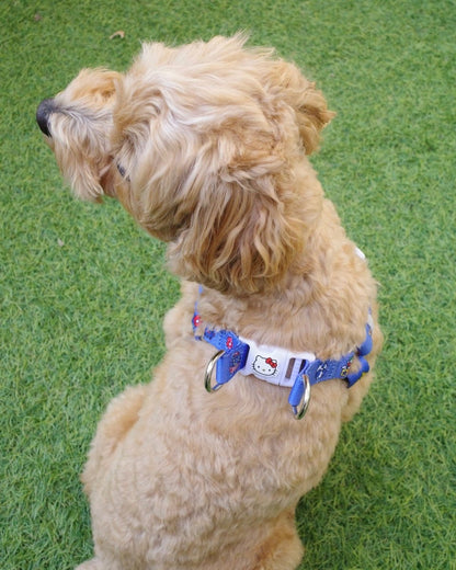 【HELLO KITTY】ハーネス - HEY,BUDDY