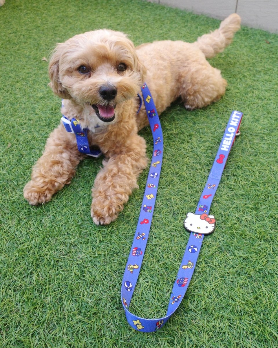 【HELLO KITTY】ハーネス - HEY,BUDDY