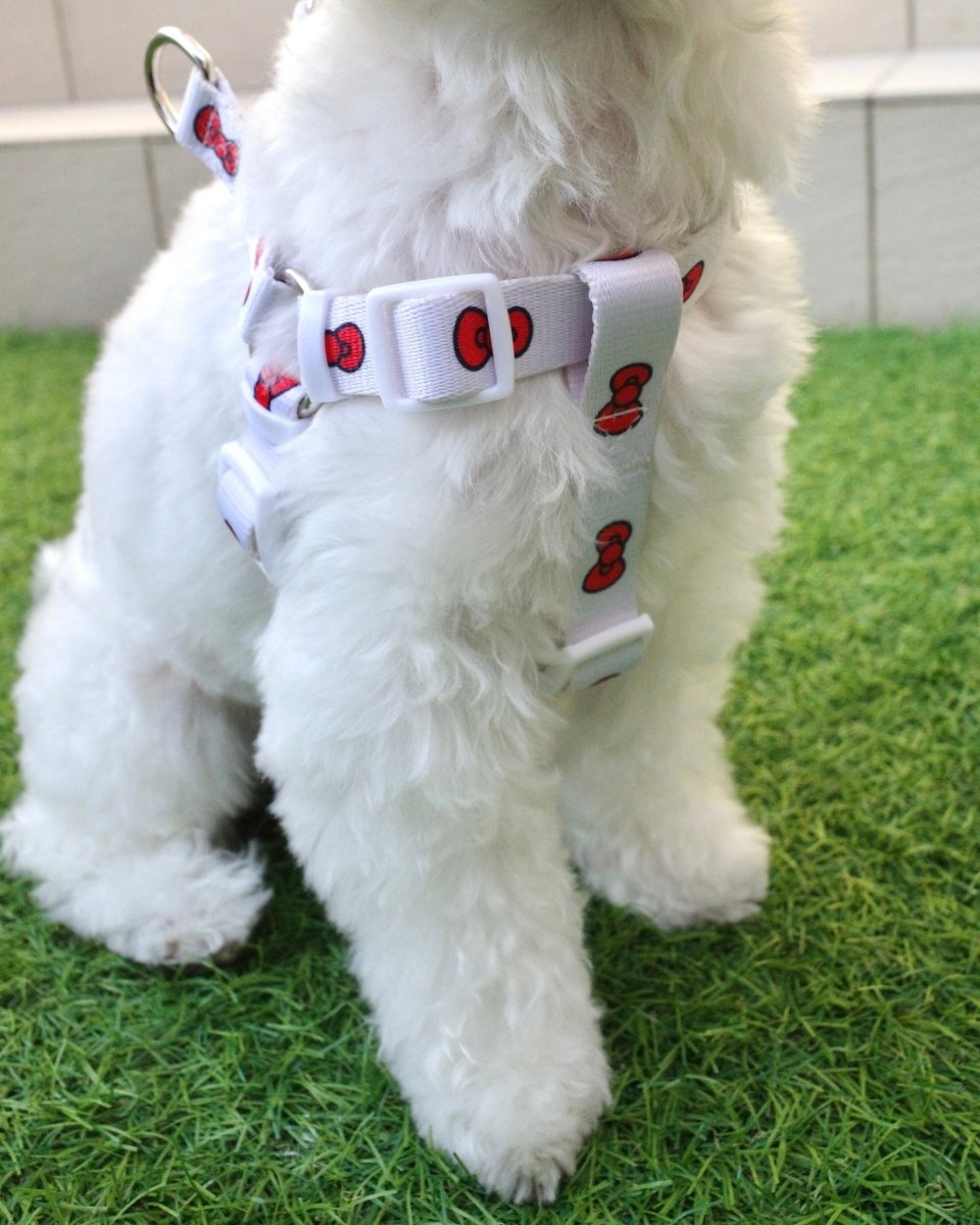 【HELLO KITTY】ハーネス - HEY,BUDDY