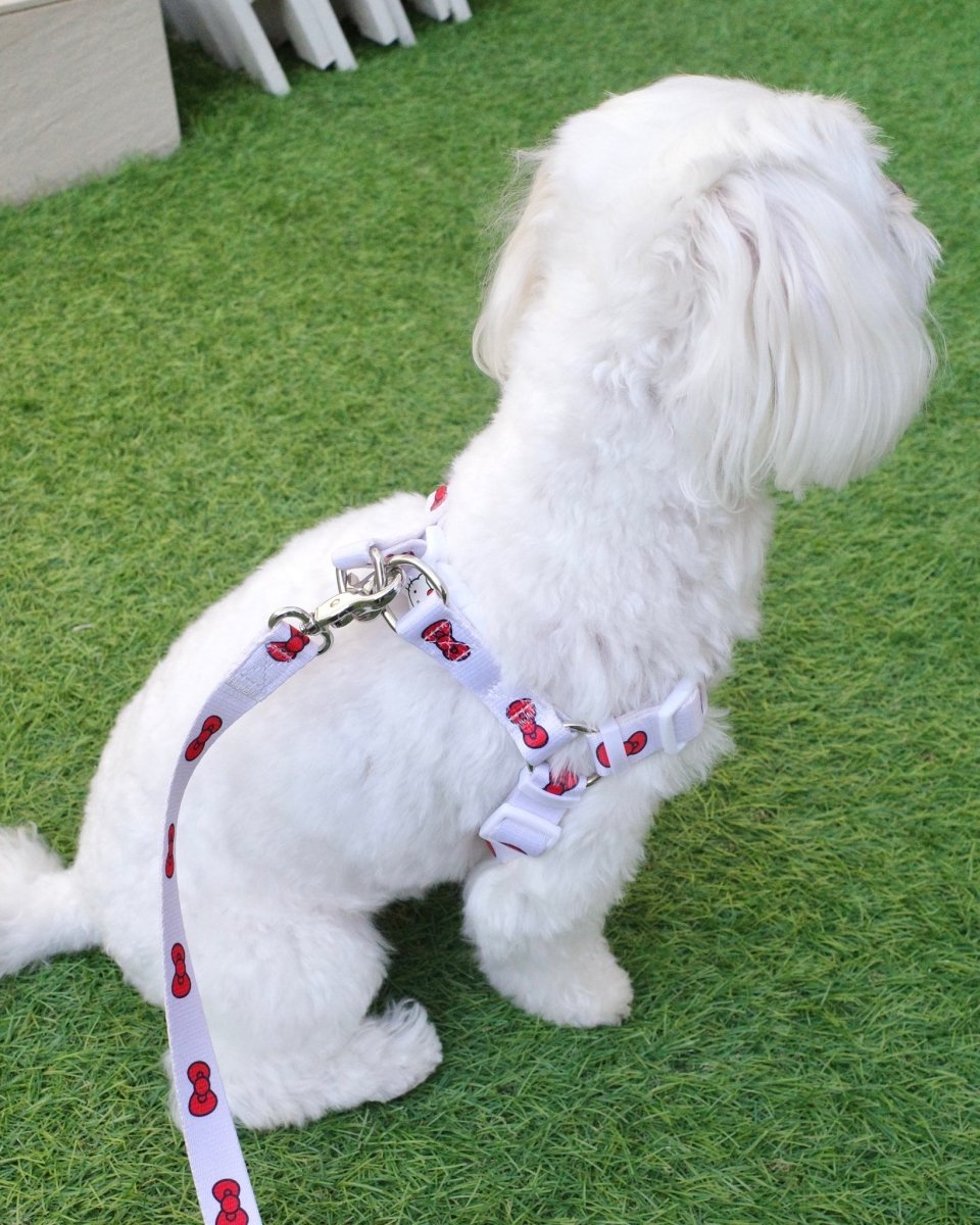 【HELLO KITTY】ハーネス - HEY,BUDDY