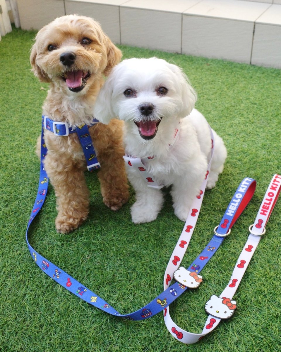 【HELLO KITTY】ハーネス - HEY,BUDDY