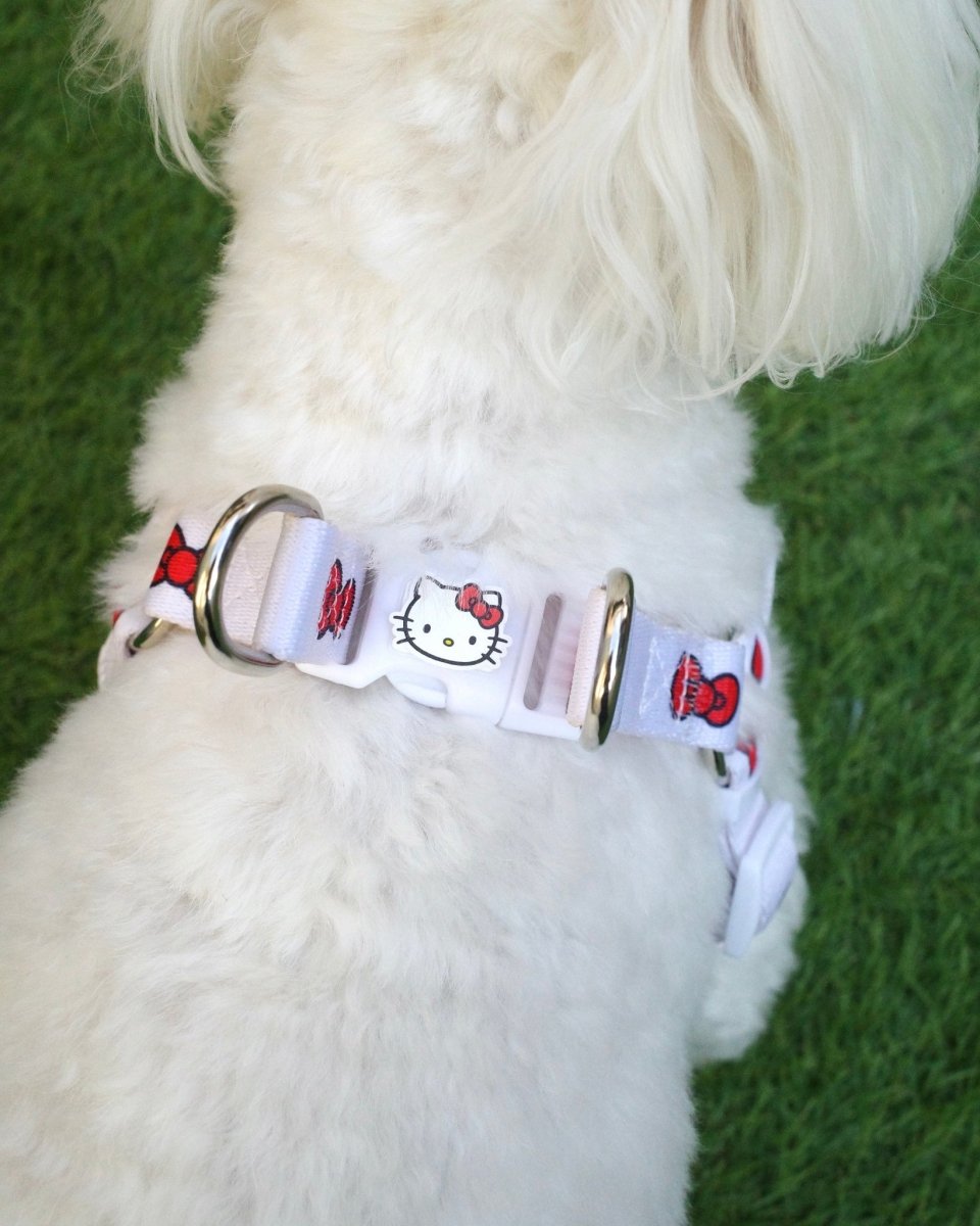 【HELLO KITTY】ハーネス - HEY,BUDDY