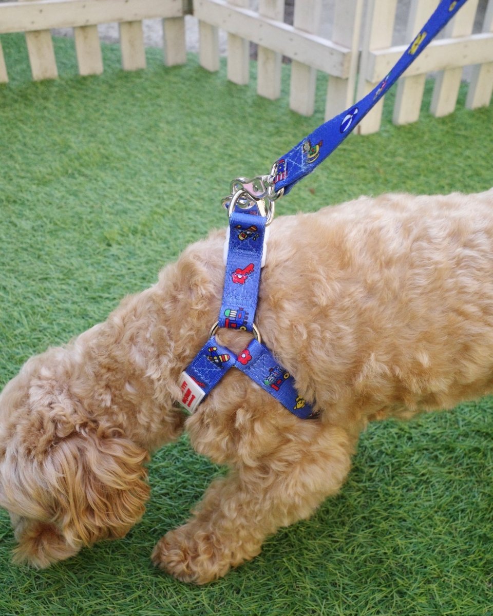 【HELLO KITTY】ハーネス - HEY,BUDDY