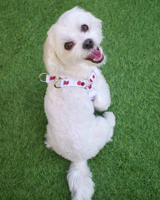 【HELLO KITTY】ハーネス - HEY,BUDDY