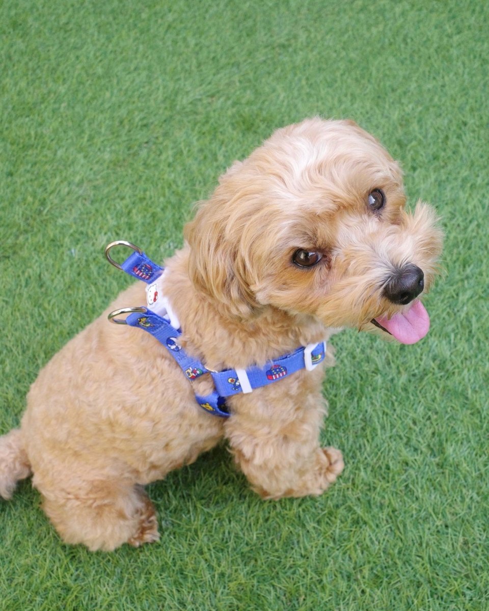 【HELLO KITTY】ハーネス - HEY,BUDDY