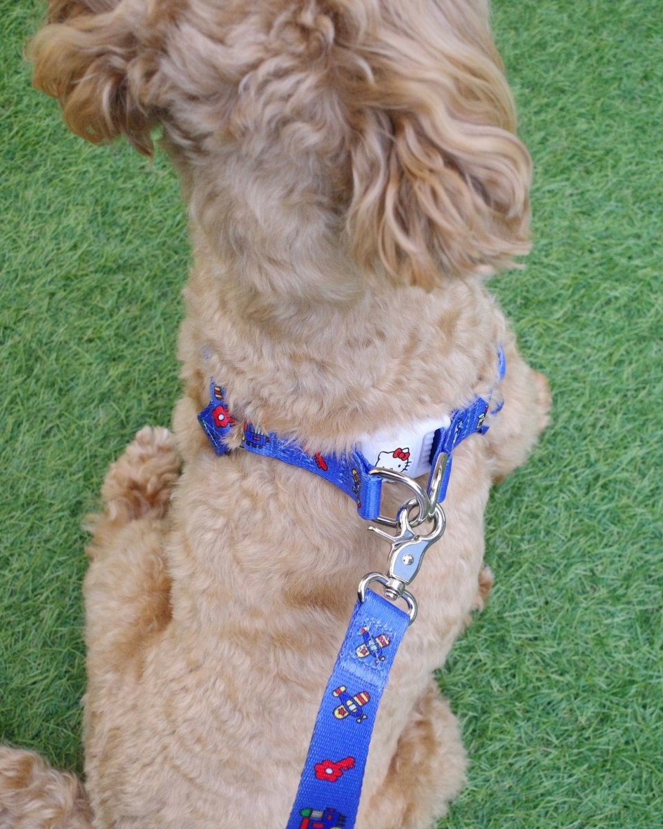 【HELLO KITTY】ハーネス - HEY,BUDDY