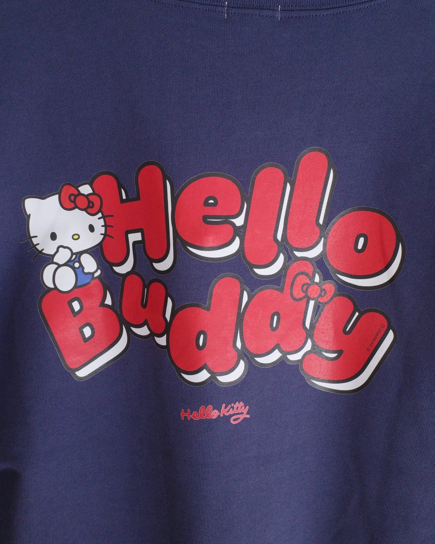 HELLO,BUDDY PAIR SWEAT T - SHIRT - HEY,BUDDY