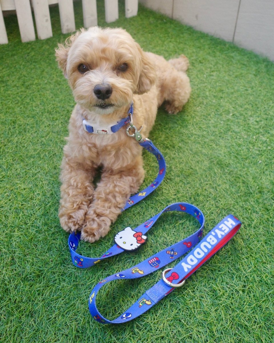 【HELLO,KITTY】リード - HEY,BUDDY