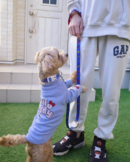 【HELLO,KITTY】リード - HEY,BUDDY