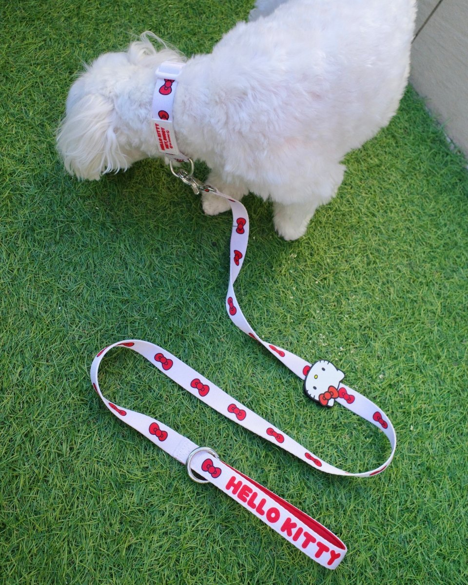 【HELLO,KITTY】リード - HEY,BUDDY