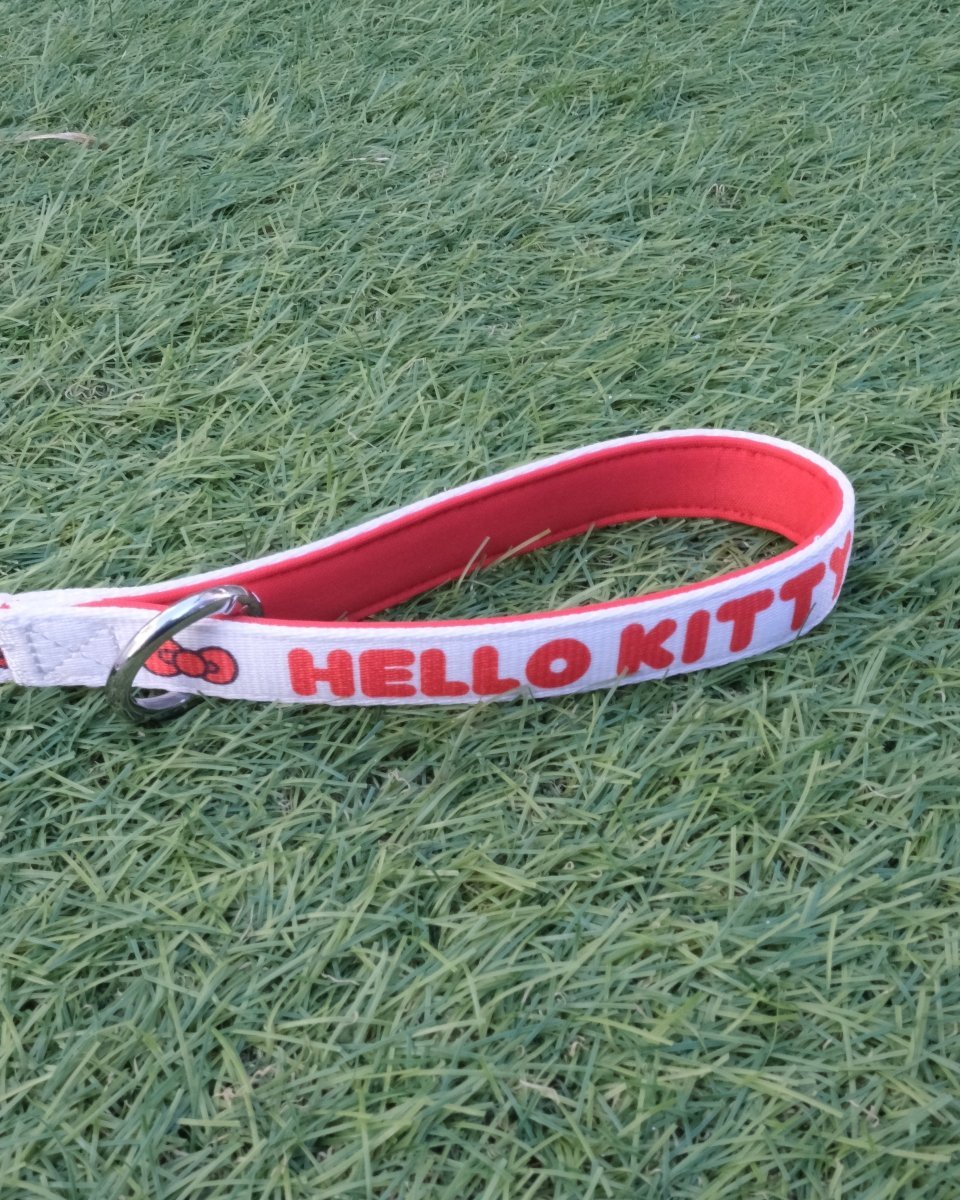 【HELLO,KITTY】リード - HEY,BUDDY