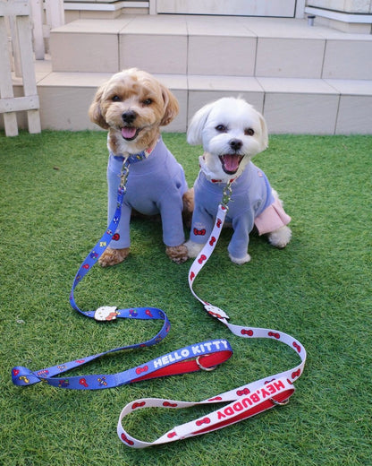 【HELLO,KITTY】カラー - HEY,BUDDY