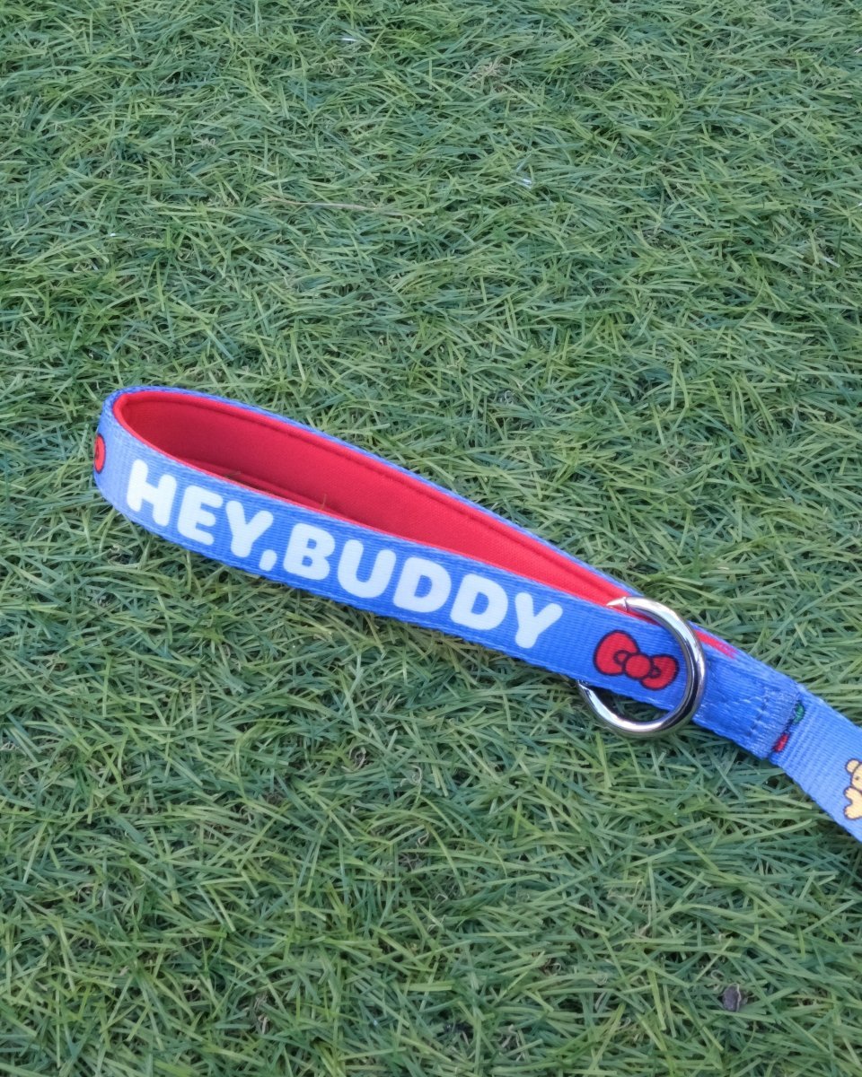 【HELLO,KITTY】リード - HEY,BUDDY