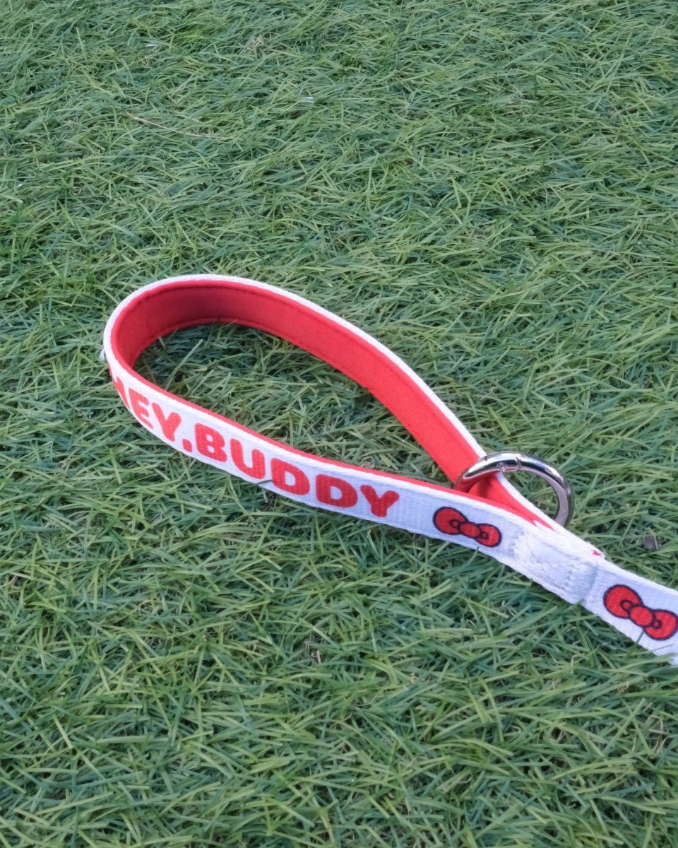 【HELLO,KITTY】リード - HEY,BUDDY