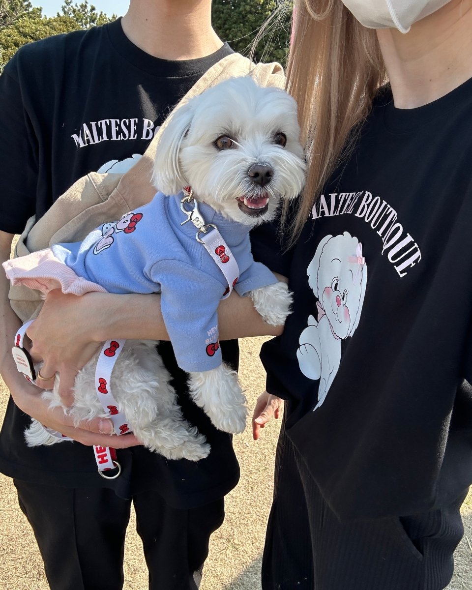 【HELLO,KITTY】リード - HEY,BUDDY