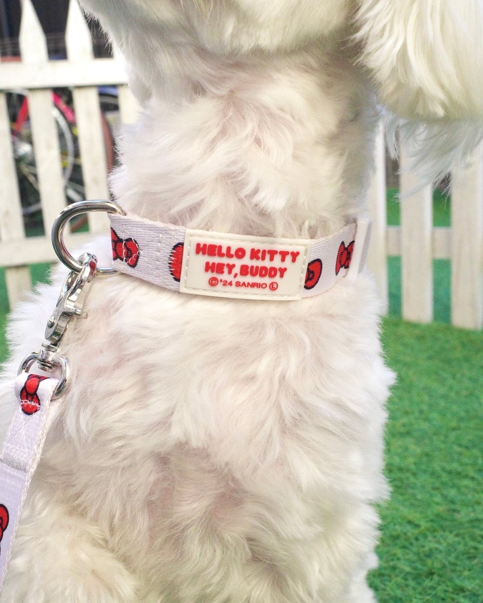 HELLO KITTY】カラー – HEY,BUDDY