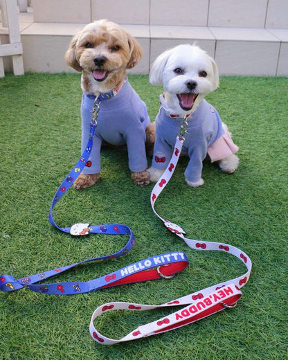 【HELLO,KITTY】リード - HEY,BUDDY