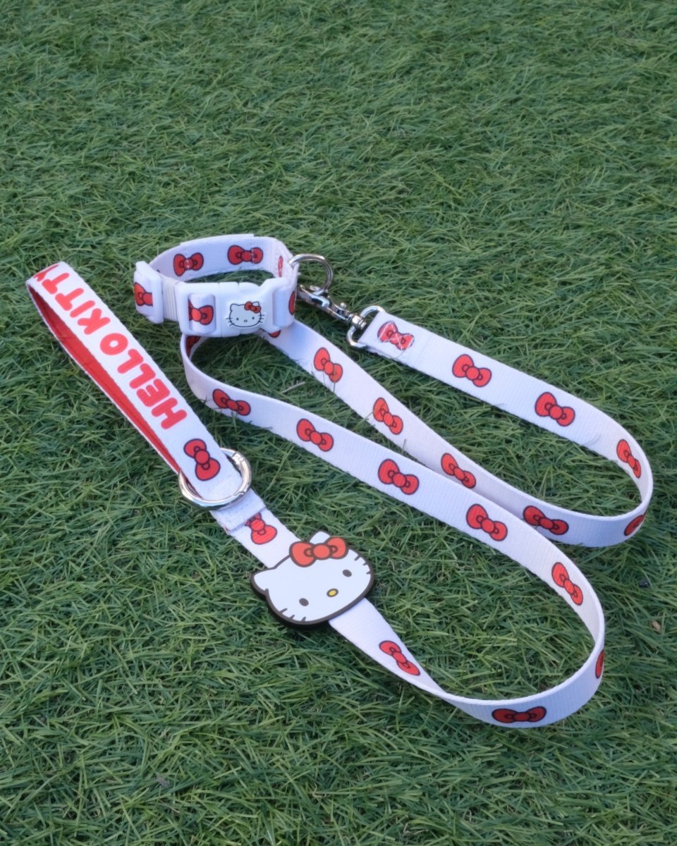 【HELLO,KITTY】リード - HEY,BUDDY