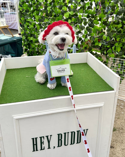 【HELLO,KITTY】リード - HEY,BUDDY