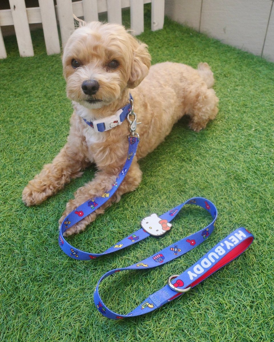 【HELLO,KITTY】リード - HEY,BUDDY