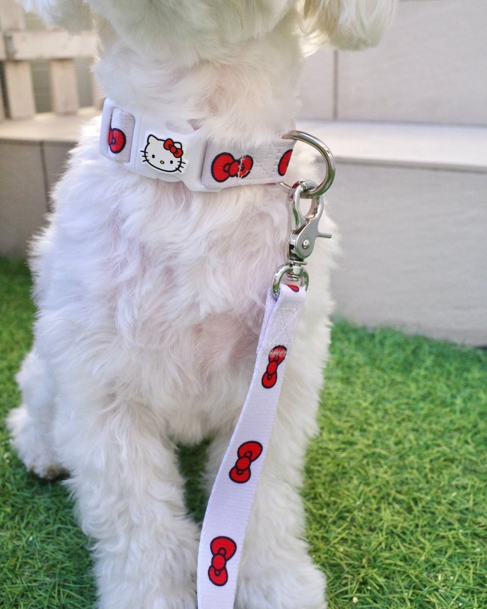 【HELLO,KITTY】リード - HEY,BUDDY