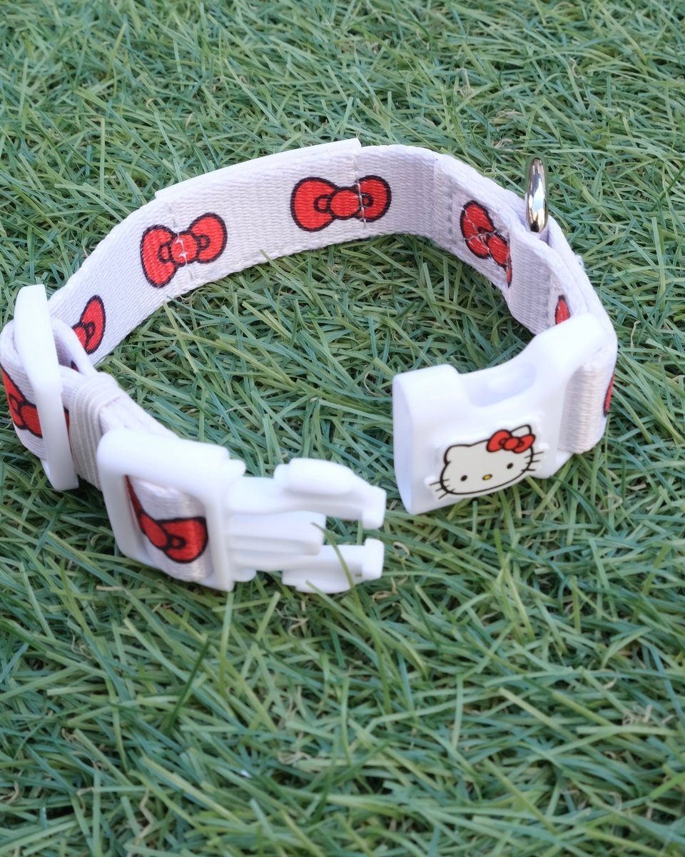 【HELLO,KITTY】カラー - HEY,BUDDY