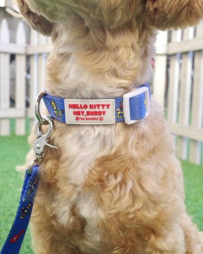 【HELLO,KITTY】カラー - HEY,BUDDY