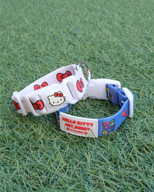 【HELLO,KITTY】カラー - HEY,BUDDY