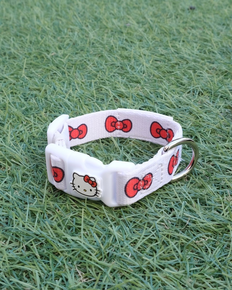 【HELLO,KITTY】カラー - HEY,BUDDY