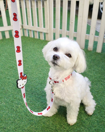 【HELLO,KITTY】リード - HEY,BUDDY