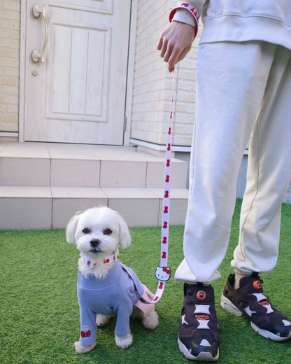 【HELLO,KITTY】リード - HEY,BUDDY