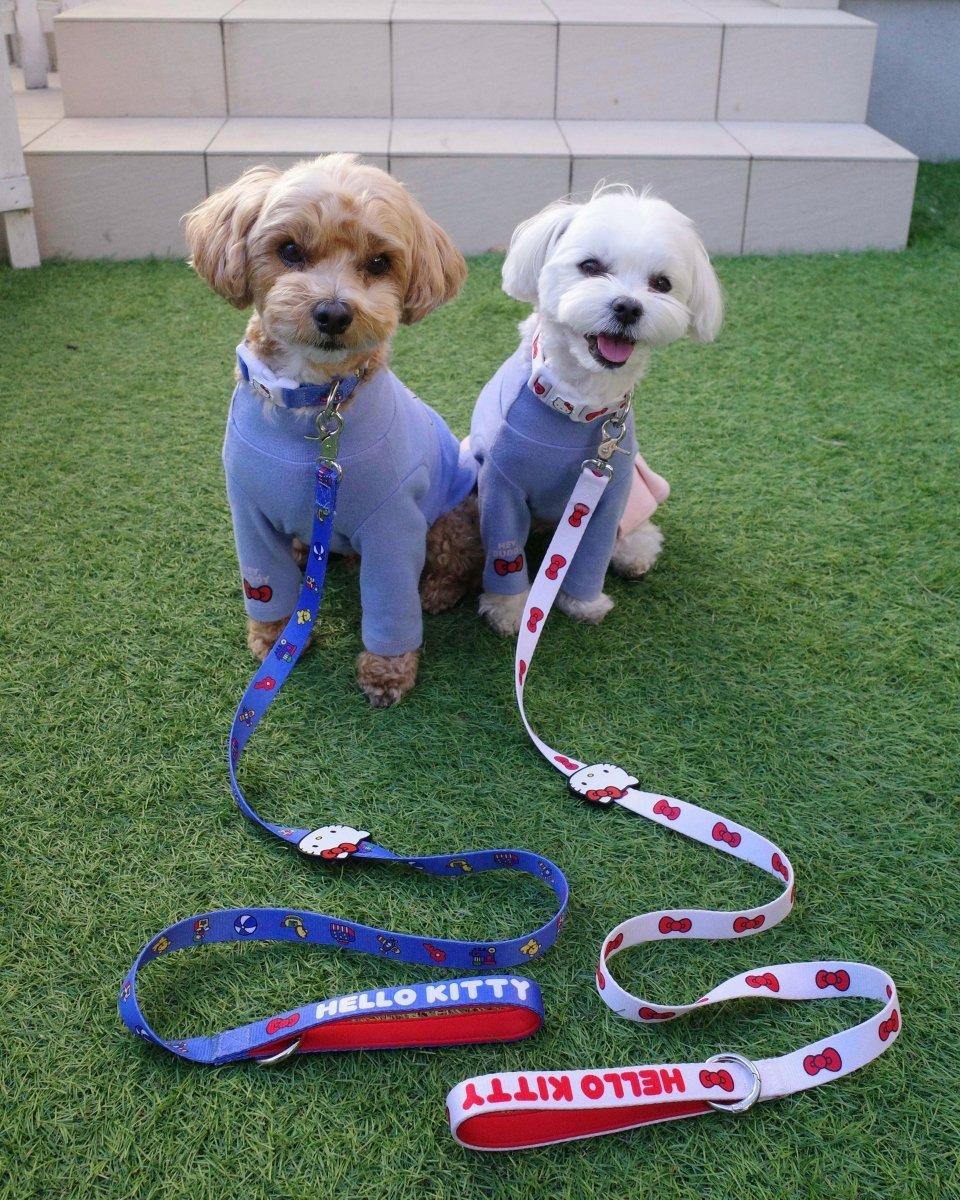 【HELLO,KITTY】カラー - HEY,BUDDY