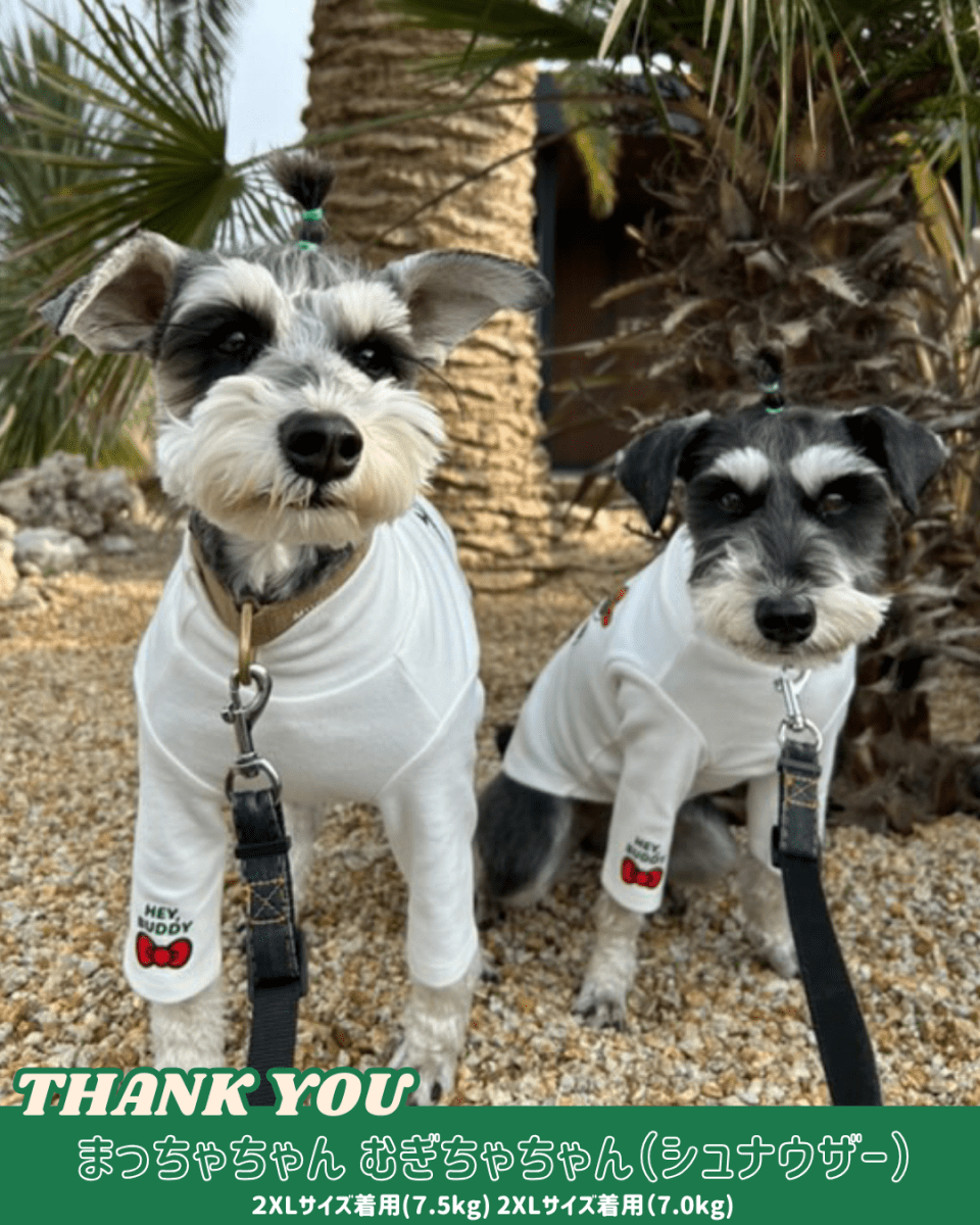 【HELLO,KITTY】ハイネックTシャツ - HEY,BUDDY