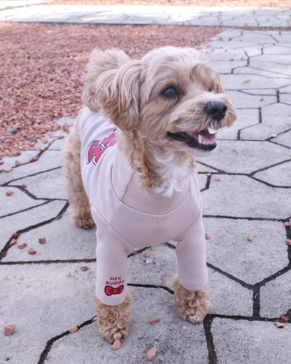 【HELLO,KITTY】ハイネックTシャツ - HEY,BUDDY