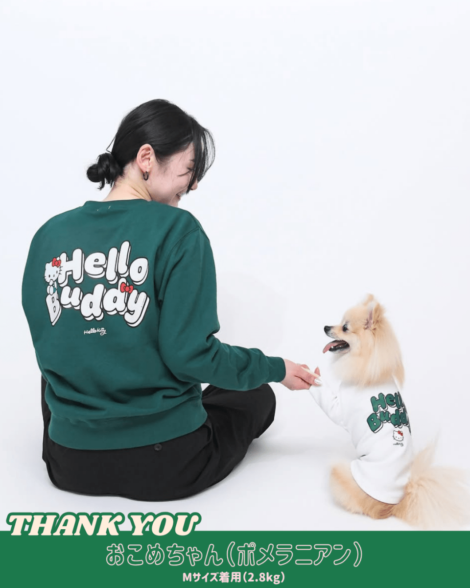 【HELLO,KITTY】ハイネックTシャツ - HEY,BUDDY