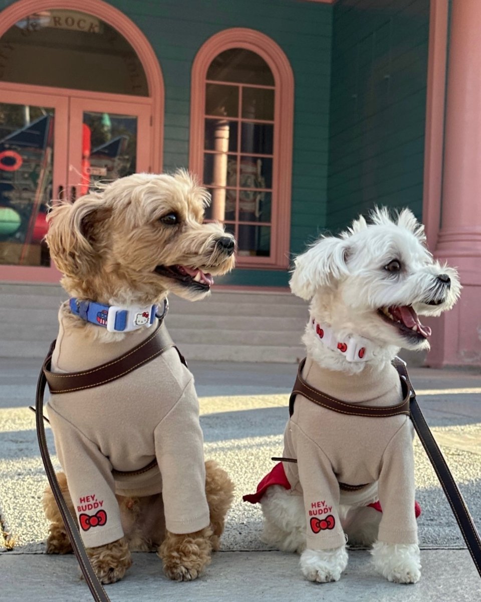 【HELLO,KITTY】ハイネックTシャツ - HEY,BUDDY