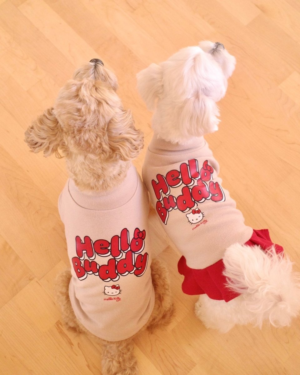 【HELLO,KITTY】ハイネックTシャツ - HEY,BUDDY