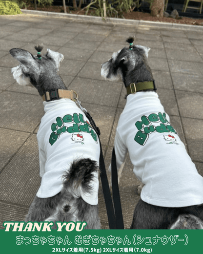 【HELLO,KITTY】ハイネックTシャツ - HEY,BUDDY