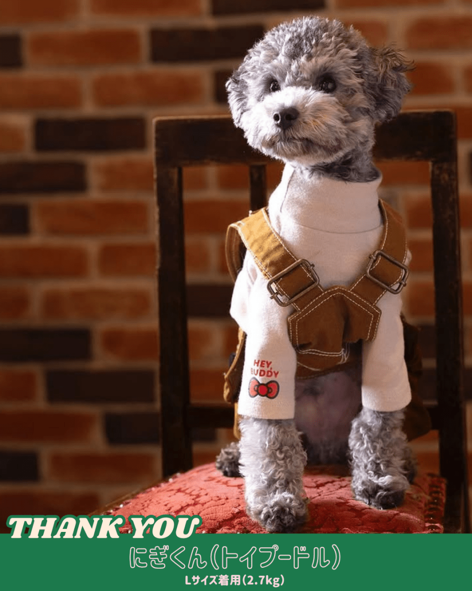 【HELLO,KITTY】ハイネックTシャツ - HEY,BUDDY