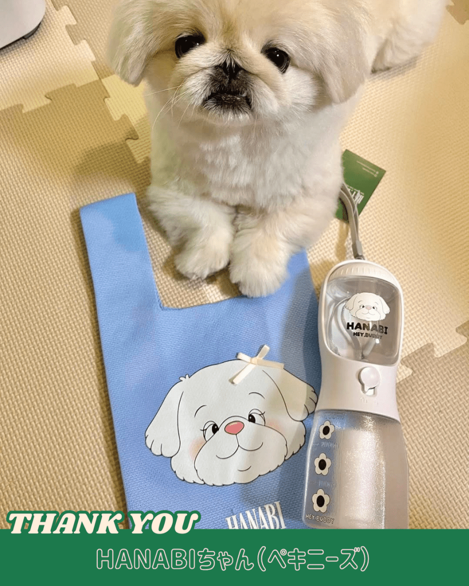 knit bag - HEY,BUDDY