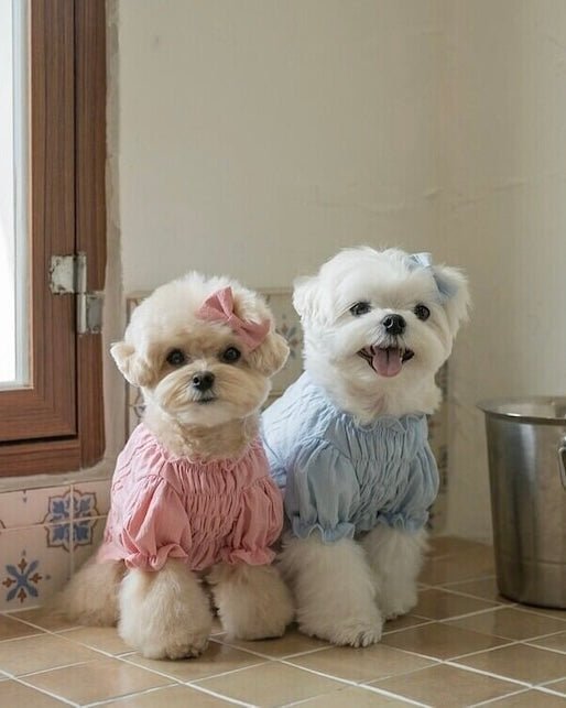 mare blouse - HEY,BUDDY