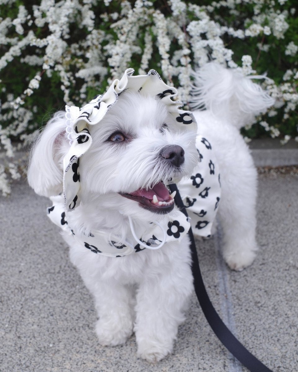 monotone flower bonnet - HEY,BUDDY
