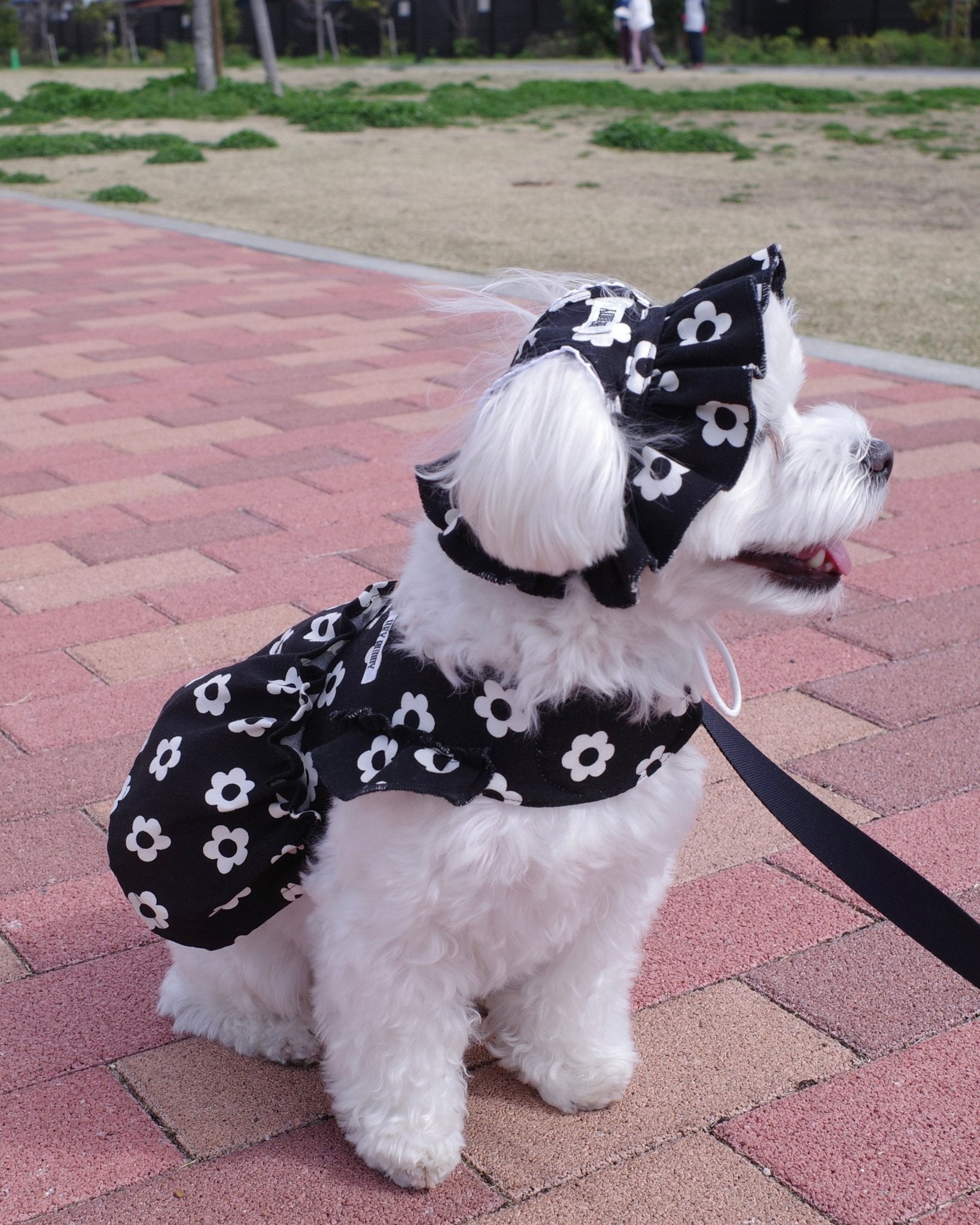 monotone flower harness - HEY,BUDDY