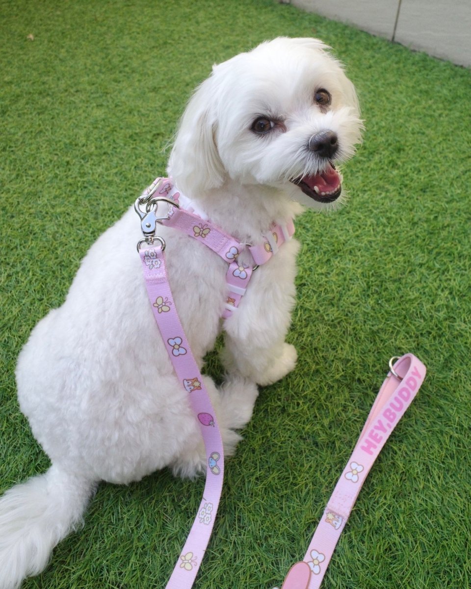 【MY MELODY】ハーネス - HEY,BUDDY