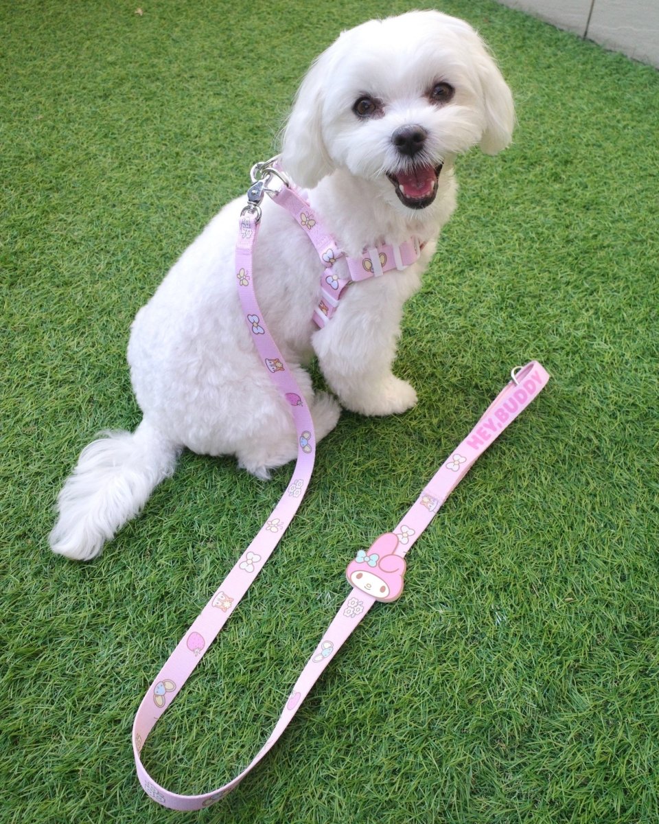 【MY MELODY】ハーネス - HEY,BUDDY