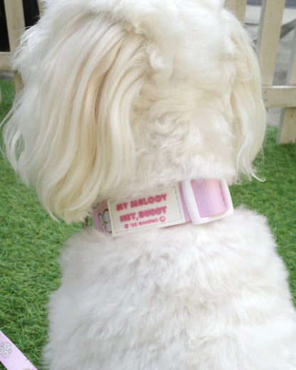 【MY MELODY】カラー - HEY,BUDDY