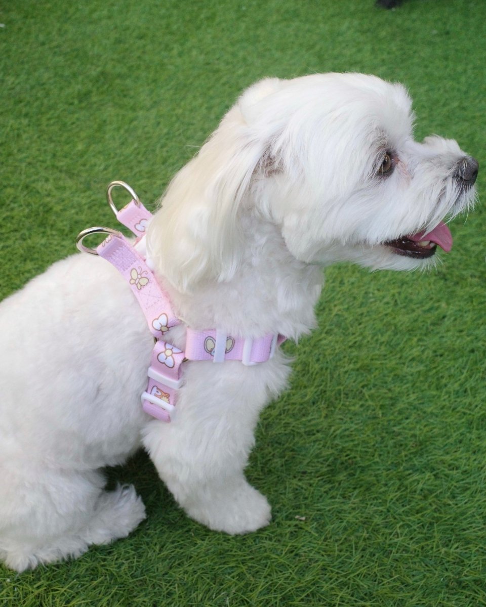 【MY MELODY】ハーネス - HEY,BUDDY